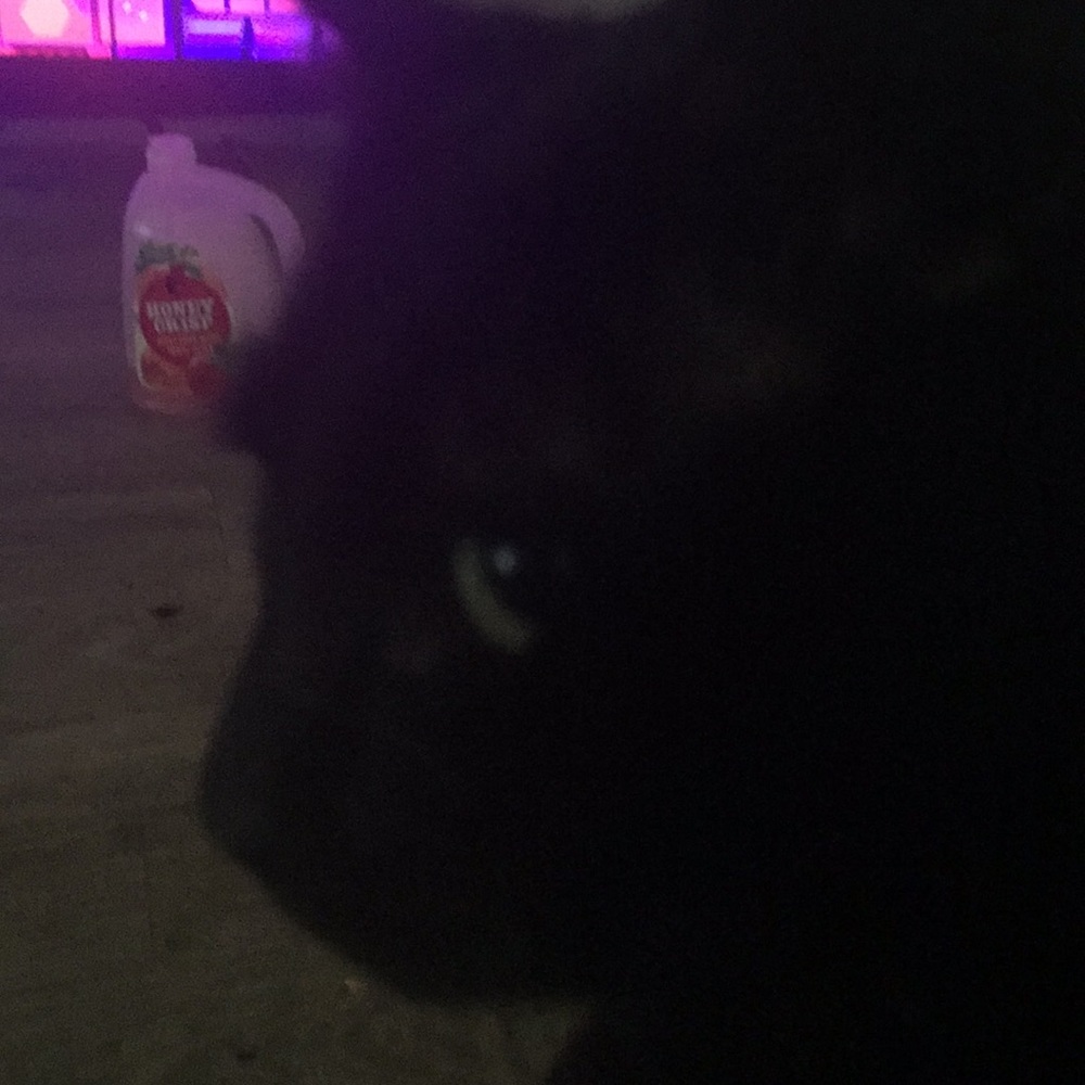 Meet your Posher, Kay